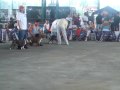 monch at july 4th show