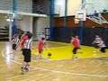Zebrák-Sasok