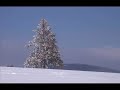 Stefan Hrusca - Afara Ninge Linistit! Stefan Hrusca - Afara Ninge Linistit!