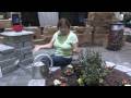 Garden & Plant Care : How to Create An Above-Ground Organic Vegetable Garden