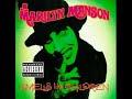 Marilyn Manson - 16. Hidden Track