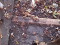 VID00002.AVI