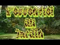 L' Essentiel du Jardin