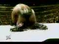triple h tribute pedigree
