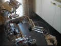 johnny 5 darwiniste