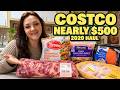 Our Nearly $500 Costco Haul (2020)