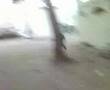 parkour