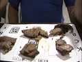 Brisket Judges Dickson TN 2008