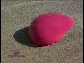 Recosan 001 Recosan 001