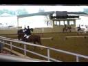 Wiggy Dec 2008 Holiday Show First level test 1