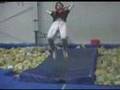 IYHWA-Gym Flips Volume 2