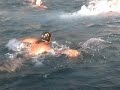 porporela vs copacabana