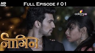 Naagin - 1st November 2015 - नागिन - Ful