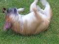Bokser floyd Bokser floyd
