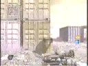 BigRed no scopes