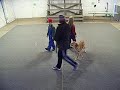 videos de Layla - 'modifying jumping up behavior' 2 of 6