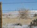 Wyoming scenery and wildlife