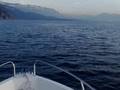 cap-camarat-75HP-Hon