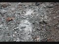 West Wash. Glacier Debris Flow West Wash. Glacier Debris Flow