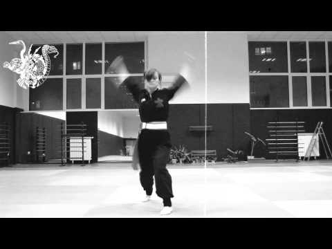 The Path of Kung Fu students preview See video