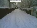 zarali Halil Bu Yol ZaRanin Yolu