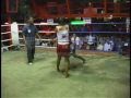 Sexy Hot Wild Asian Bar Girls Muay Thai Boxing