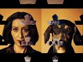 guiness-dei-cani.html