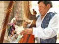 Arpa Peruana Andina  Instrumental - Adiós Pueblo De Ayacucho