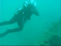 PADI Projecto Aware Peleas Submarina Coñaza bajo el mar PADI Projecto Aware Peleas Submarina Coñaza bajo el mar