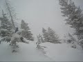 Tree Skiing Aspen / TK - 2009 Tree Skiing Aspen / TK - 2009