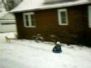 Speed Sledding Speed Sledding