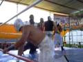 1ra Lucha 9Nov08 Coliseo Coacalco