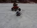 Donuts on the lake
