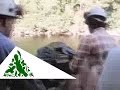The Franklin River Blockade 1983, Tasmania (Part 1 of 2)