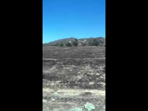 Los Padres National Forest, CA