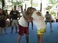FREE seminar by UFC veteran Brodie Farber for camp guests