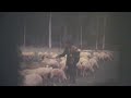 BENJAMIM - O PASTOR - S. SILVESTRE 1965