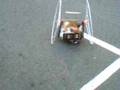 Two Wheel Enery Efficient Electric Car Model
