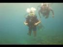 Buceo en Portobelo
