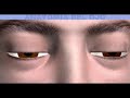 anatomía del ojo   www bgasalud com