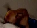 Jake Attacks Pillow... its funny...