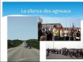 Oser Reconnaître Notre Histoire Et Nos Contributions