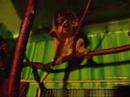 lorian-mallary-highlight-vid.html
