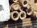 Bee number 2. Wich specie?