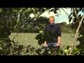 Get involved with Open Farm Sunday Get involved with Open Farm Sunday