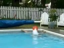 Pool Nonsense Pool Nonsense