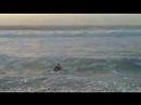 skim flip