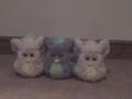 Furbies Alive