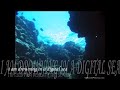 Digital Sea