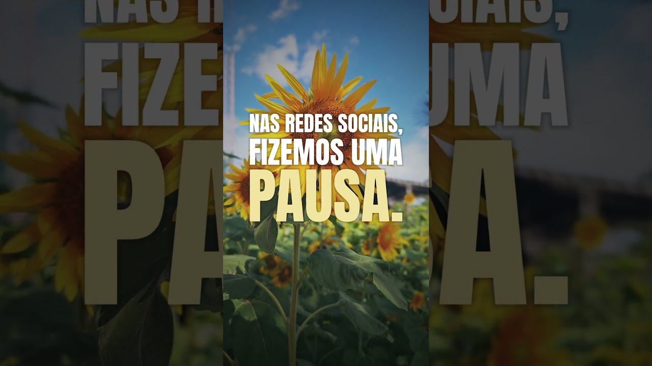 Encerrou o defeso eleitoral e estamos de volta
